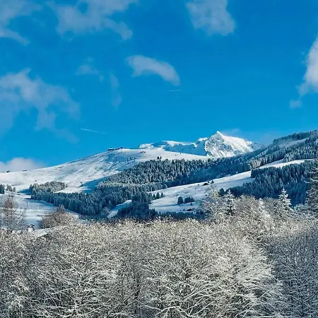 Charming Duplex In Hameau Des Pistes - Inout *